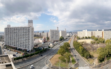 向島ニュータウン 写真